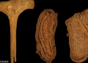 Avrupa’nın en eski ayakkabısı İspanya’da bir mağarada bulundu