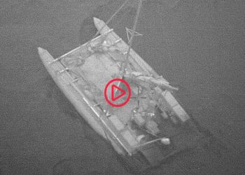 Avustralya'da köpek balığı saldırısı: Şişme katamarandaki üç kişi kurtarıldı