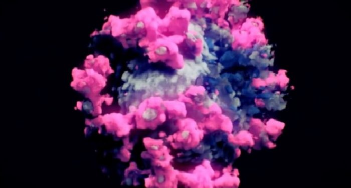 Bakan Koca: Eris varyantı Türkiye’de 9 kişide görüldü