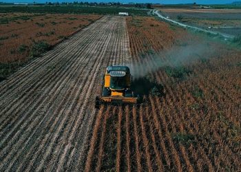Çiftçinin enflasyonunda artış sürüyor!