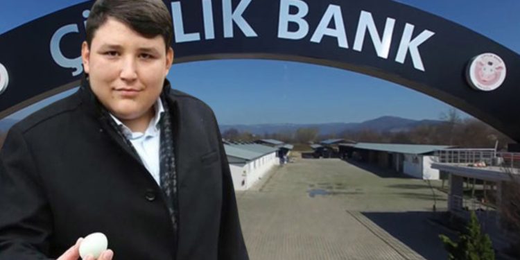 'Çiftlik Bank' davasında mağdurların toplam zararı dudak uçuklattı!
