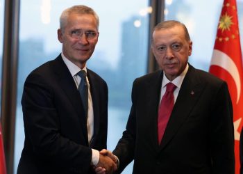 cumhurbaskani erdogan stoltenberg