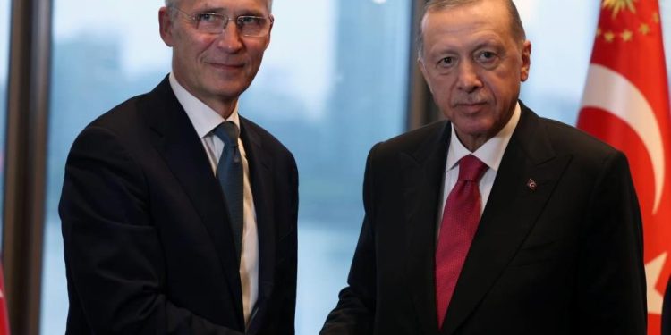 cumhurbaskani erdogan stoltenberg