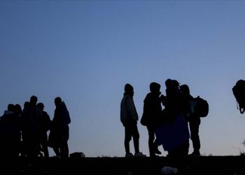 Düzensiz göç ve insan kaçakçılığıyla mücadele: Almanya, Polonya ve Çekya sınırlarında kontrolleri artırıyor