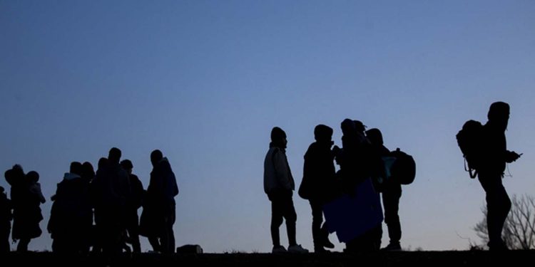 Düzensiz göç ve insan kaçakçılığıyla mücadele: Almanya, Polonya ve Çekya sınırlarında kontrolleri artırıyor