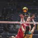 Filenin Sultanları, Brezilya’yı da devirdi; olimpiyat yolunda 5’te 5 yaptı