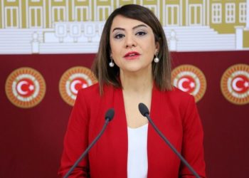 Gamze Taşcıer'den DMD Günü açıklaması: Bir sistemsizlik hakim