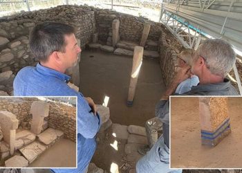 Göbeklitepe'de 'beton' tartışması tırmanıyor: Arkeoloğa suç duyurusu tehdidi geldi