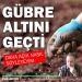 Gübre altını geçti! Daha açık nasıl söyleyeyim | Parametre