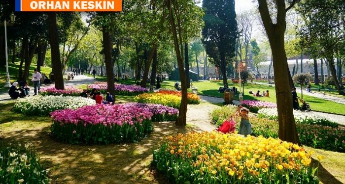 Gülhane parkındaki ceviz ağacının hüzünlü hikayesi