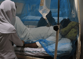 Hindistan'da Nipah virüsü alarmı: Koronavirüsten daha öldürücü