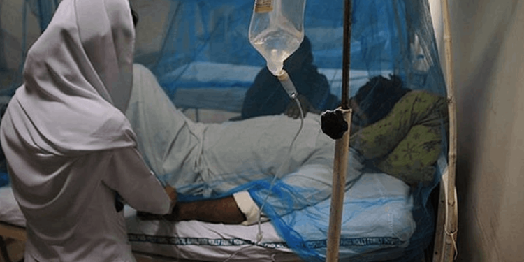 Hindistan'da Nipah virüsü alarmı: Koronavirüsten daha öldürücü