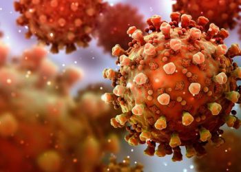 Hindistan'da Nipah virüsü nedeniyle iki kişi öldü