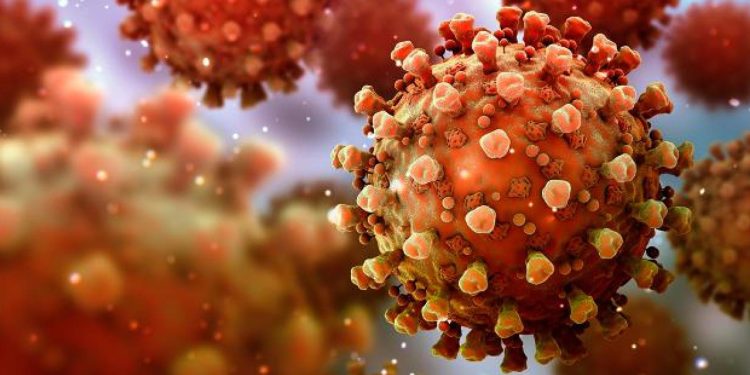 Hindistan'da Nipah virüsü nedeniyle iki kişi öldü