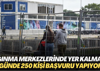 Hollanda’da sığınma merkezlerinde yer kalmadı: Günde 250 kişi başvuru yapıyor