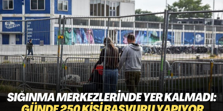 Hollanda’da sığınma merkezlerinde yer kalmadı: Günde 250 kişi başvuru yapıyor