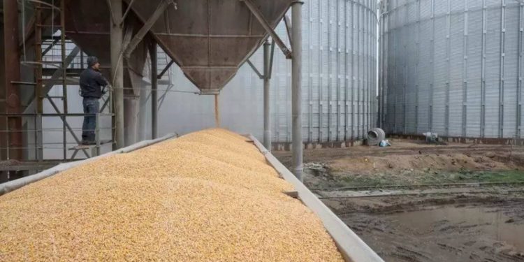 Kremlin: Tahıl Anlaşması askıda, tekrar başlatılması konusunda ilerleme kaydedilmedi