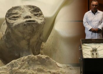 Meksika'da 'uzaylı fosilleri' iddiası: Ülke gündemine oturdu