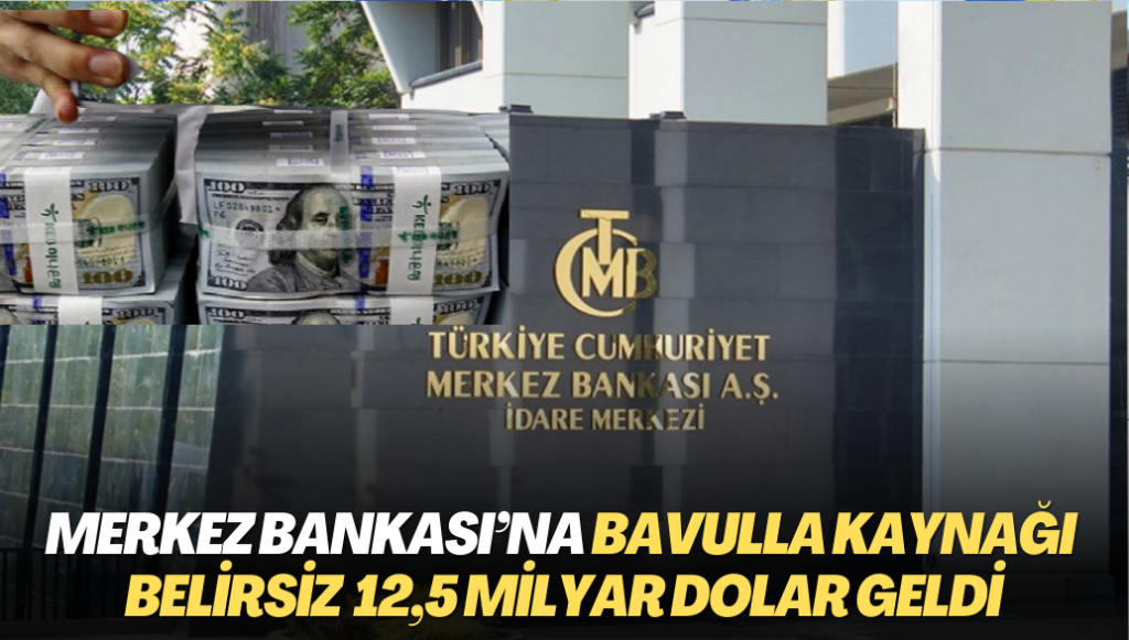 Merkez Bankası’na bavulla kaynağı belirsiz 12,5 milyar dolar geldi