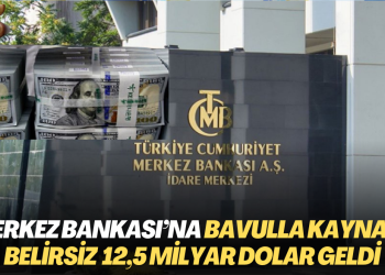 Merkez Bankası’na bavulla kaynağı belirsiz 12,5 milyar dolar geldi