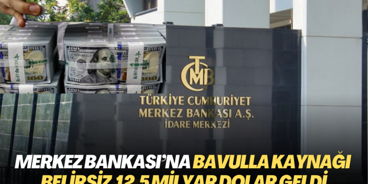 Merkez Bankası’na bavulla kaynağı belirsiz 12,5 milyar dolar geldi
