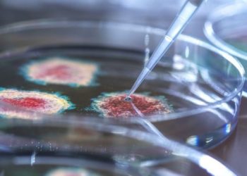 Mikropların var olduğuna inanmayan insanlar