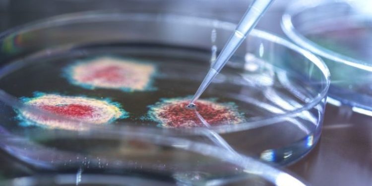 Mikropların var olduğuna inanmayan insanlar