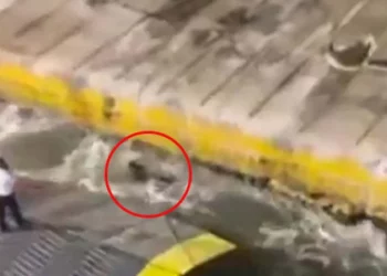 Pire'de ölen yolcunun ardından: Yunanistan Denizcilik Bakanı Varvitsiotis istifa etti