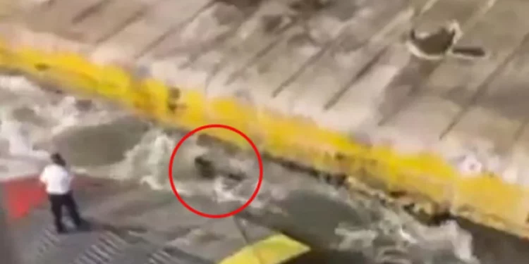 Pire'de ölen yolcunun ardından: Yunanistan Denizcilik Bakanı Varvitsiotis istifa etti