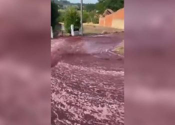 Portekiz'de yola dökülen 2,2 milyon litre şarap 'nehir olup' aktı