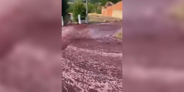 Portekiz'de yola dökülen 2,2 milyon litre şarap 'nehir olup' aktı