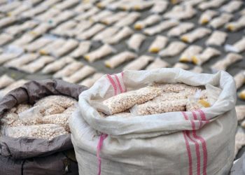 Rapor: Avrupa, Suriye'den gelen uyuşturucu Captagon tabletleri ticaretinde kilit rol oynuyor