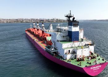 Rusya: Afrika'ya tahıl planında Türkiye ile anlaştık