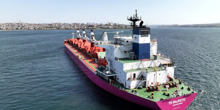 Rusya: Afrika'ya tahıl planında Türkiye ile anlaştık