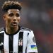 Şenol Güneş'ten Gedson Fernandes açıklaması