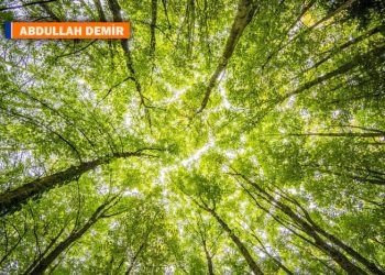 Tarihimizde çevre hakkının önemi