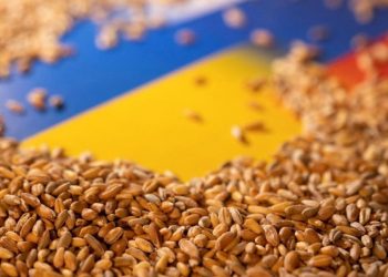 Ukrayna'dan tarım ürünleri ithalatını yasaklayan üç ülkeye dava