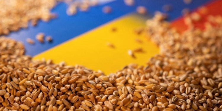 Ukrayna'dan tarım ürünleri ithalatını yasaklayan üç ülkeye dava