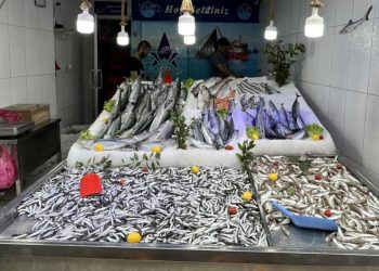 Yasak kalktı: Hamsinin tezgahlardaki fiyatı belli oldu