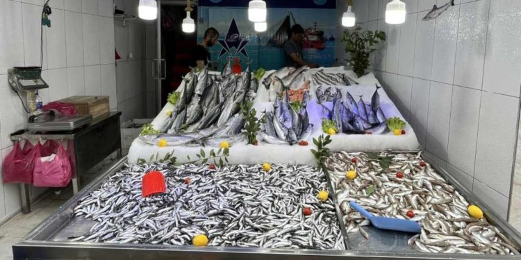 Yasak kalktı: Hamsinin tezgahlardaki fiyatı belli oldu