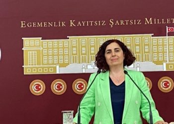 Yeşil Sol Parti'li Çelenk: ‘Kanun Hükmü’ne dair yanlış karardan derhal dönülmeli