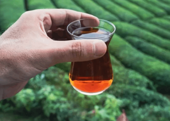 Yönetime AKP'liler getirildi kurum zarar etti: ÇAYKUR, Haziran'dan bu yana çaya dördüncü kez zam yaptı