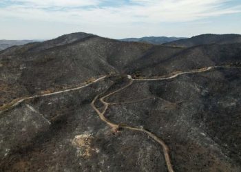 Yunanistan: Meriç Bölgesi'ndeki yangından 25 göçmen kurtarıldı