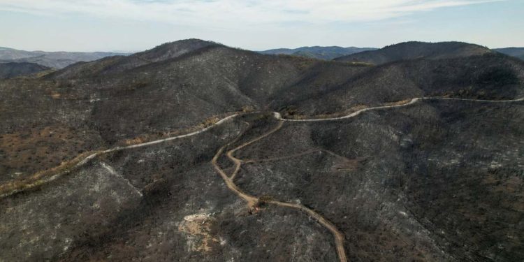 Yunanistan: Meriç Bölgesi'ndeki yangından 25 göçmen kurtarıldı