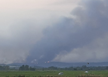 Yunanistan’daki yangın Edirne sınırına dayandı