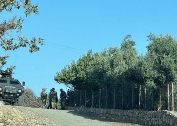Bana’da pirinç hasadı başladı ama tarlaya gitmek yasak