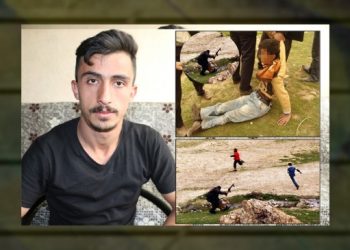 Dipçik davasında polisin tutuklanmaması ve az cezaya itiraza ret