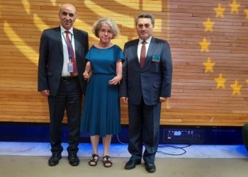 Avrupalı parlamenterler: Özerk Yönetim, krizin çözümünde yer almalı