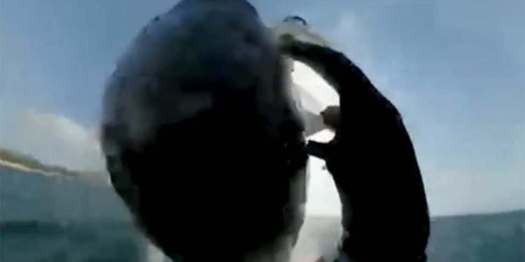 Avustralya'da uçurtma sörfü yapan adam balinayla çarpıştı