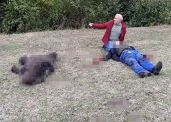 Ayının saldırısına uğrayan yaşlı adamı komşuları kurtardı